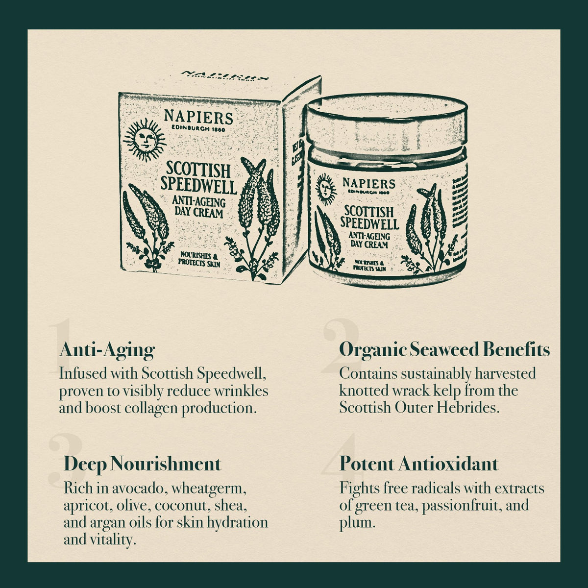 Napiers Speedwell Ageless Day Cream - Anti-Aging & Wrinkle Reduction with Scottish Speedwell & Organic Seaweed - 60ml