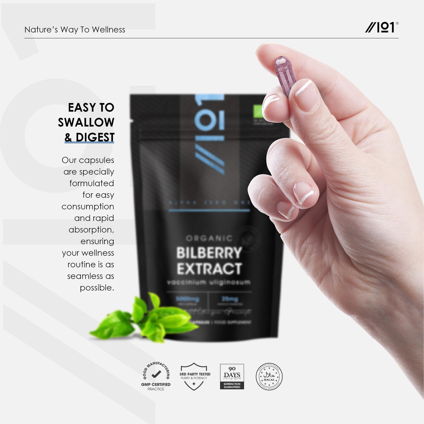 Organic Bilberry Extract 5000mg – High Strength 5% Anthocyanidins – 90 Vegan Capsules (3 Months Supply) – Resealable and Recyclable Pouch – by Alpha01