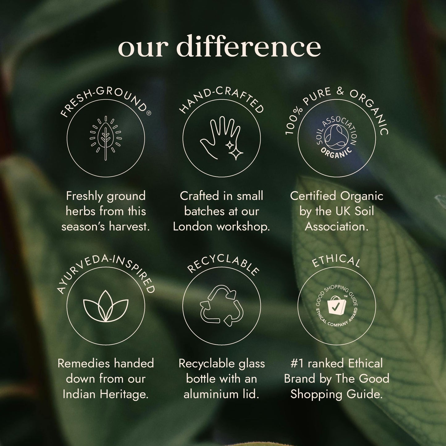 Fushi Organic Neem Leaf Capsules, 60 Caps | Fresh-Ground Whole Food | Detoxifying properties | Cleansing Herb, Purify Both Inside & Outside Body | Ethical & Vegan | Made in the UK