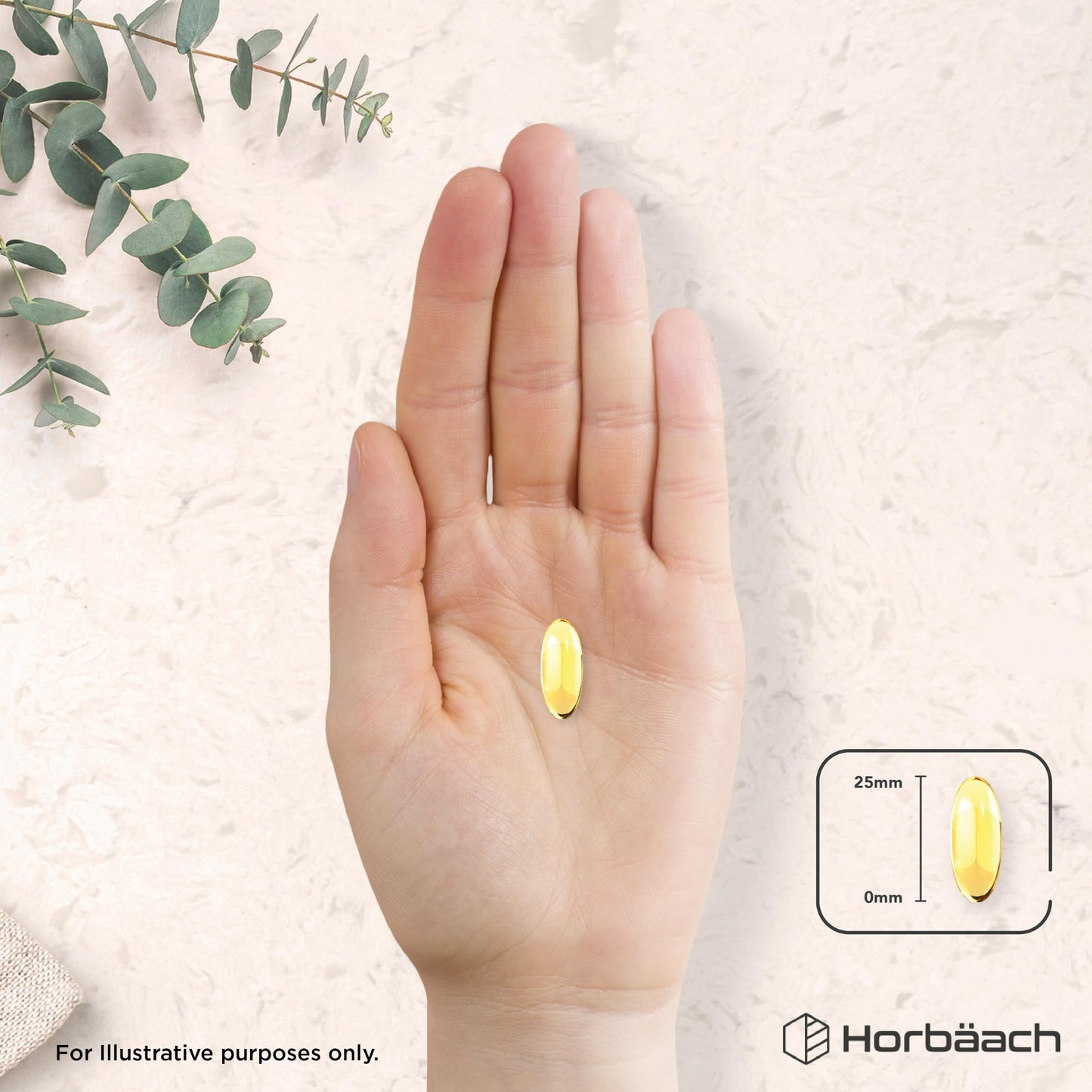 Horbäach Starflower Oil Capsules 2000mg | High Strength GLA | Cold-Pressed Borage Oil with Vitamin B6 | Natural Source of Omega-6 | 120 Softgels | by Horbaach