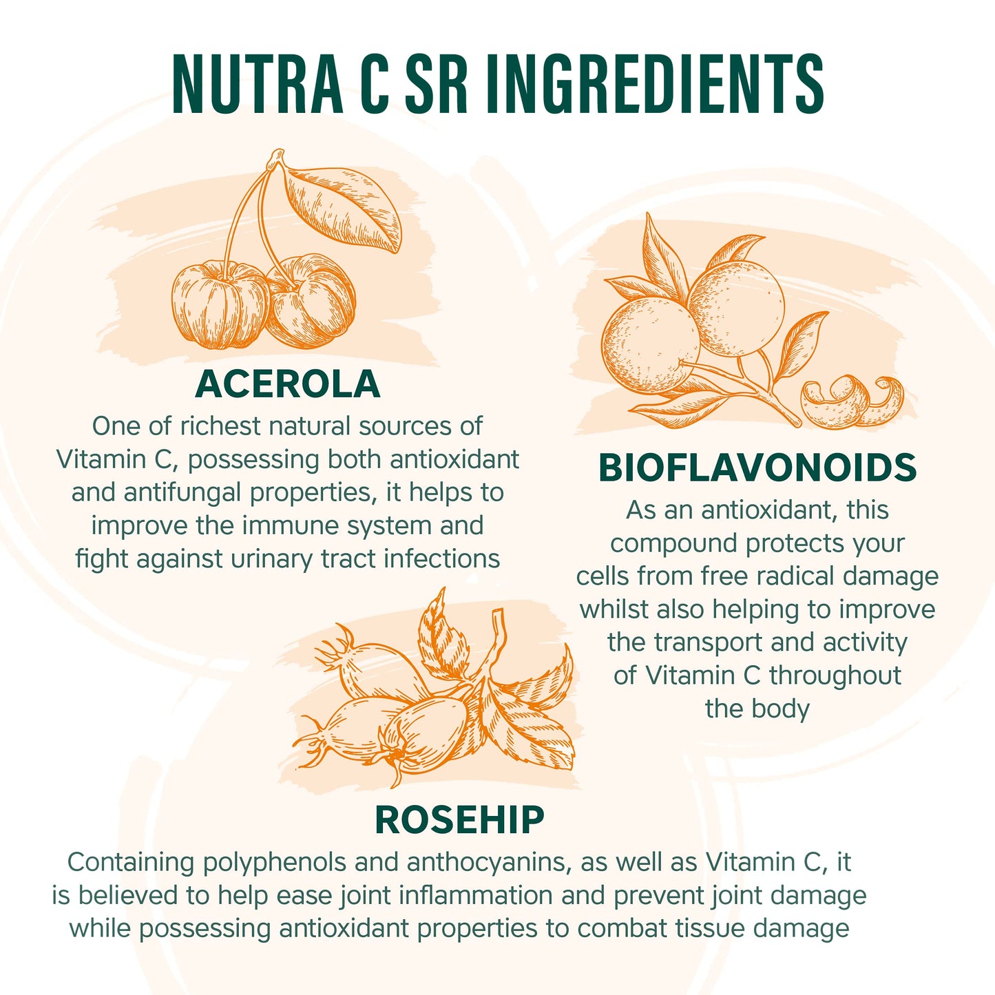 NUTRA C - Vitamin C 1000mg - 30 Tablets - Sustained Release Vegan Tablets - Gluten Free | Orange Flavoured - with Rosehip, Hesperidin & Acerola - Manufactured in a UK MHRA GMP Facility - NUTRAVIT