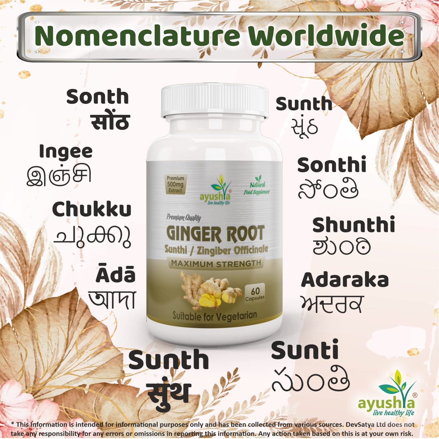 Ayushya Ginger Root (Sunthi) Capsule