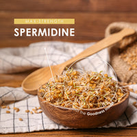 ALPHA01 Spermidine Wheat Germ Extract – 600mg per Capsule - 6mg Spermidine High Strength Supplement – 60 Vegan Capsules (2 Months Supply) by Alpha01