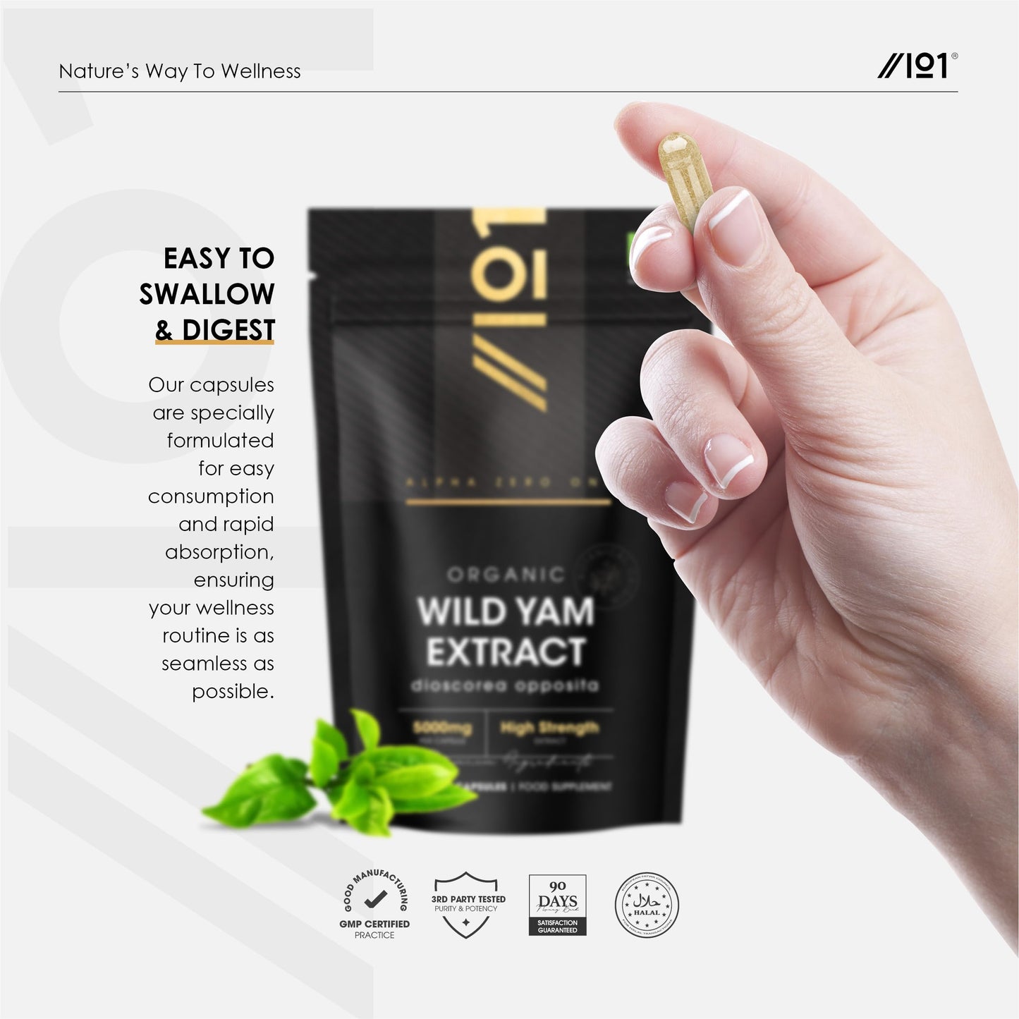 Organic Wild Yam Extract 5000mg - High Strength 10:1 Dioscorea Opposita Extract Supplement - 90 Vegan Capsules (3 Month Supply) - by Alpha01