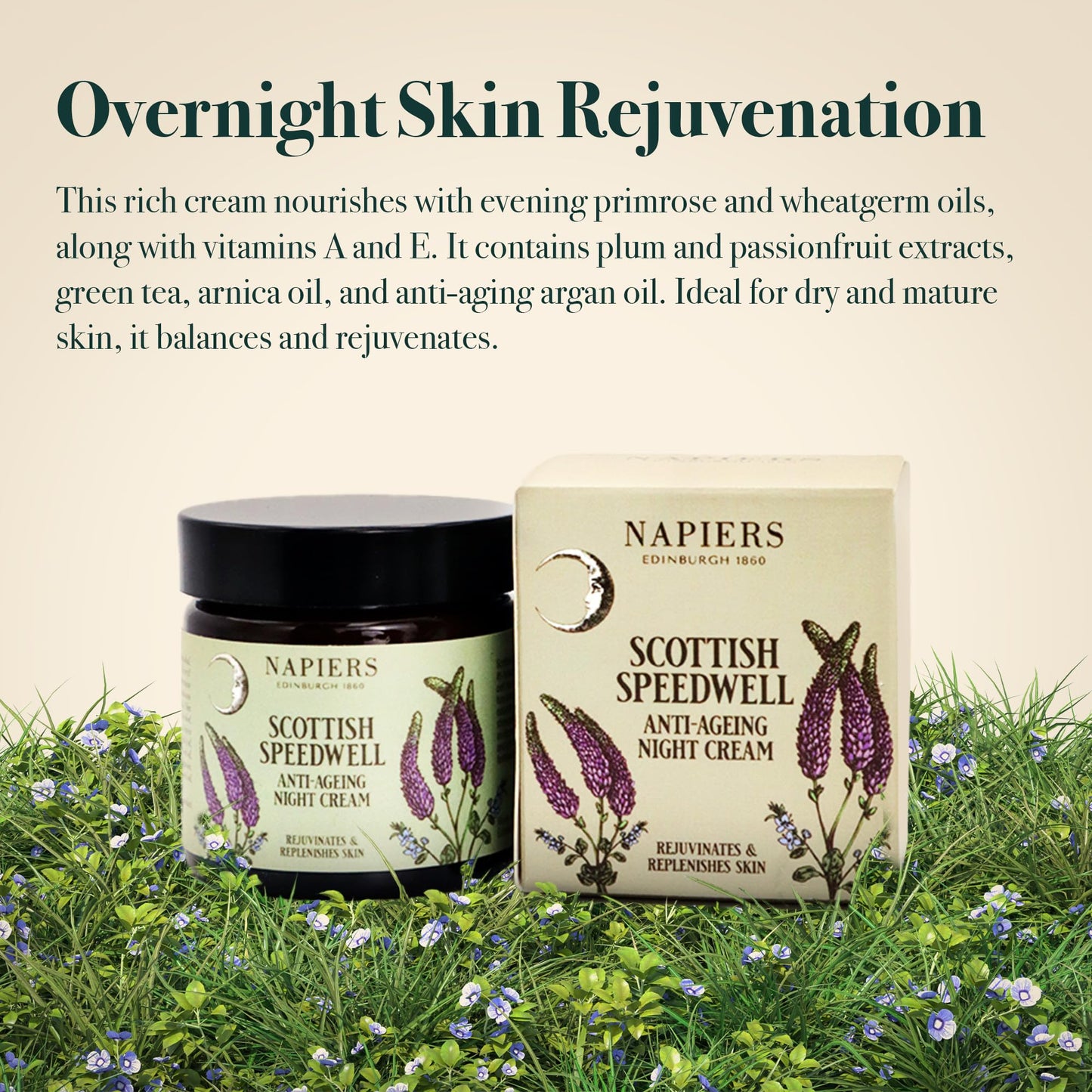 Napiers Speedwell Ageless Night Cream - Anti-Aging & Wrinkle Reduction with Scottish Speedwell, Natural Oils & Eye Cream Benefits - 60ml