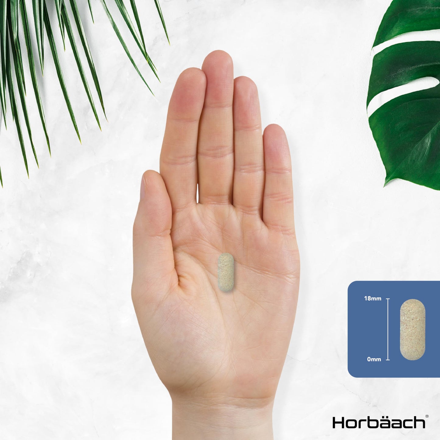 Horbäach Multivitamin 70 Plus Tablets | 90 Count | with Essential Vitamins and Minerals | for Men and Women Age 70+ | Vegetarian | by Horbaach