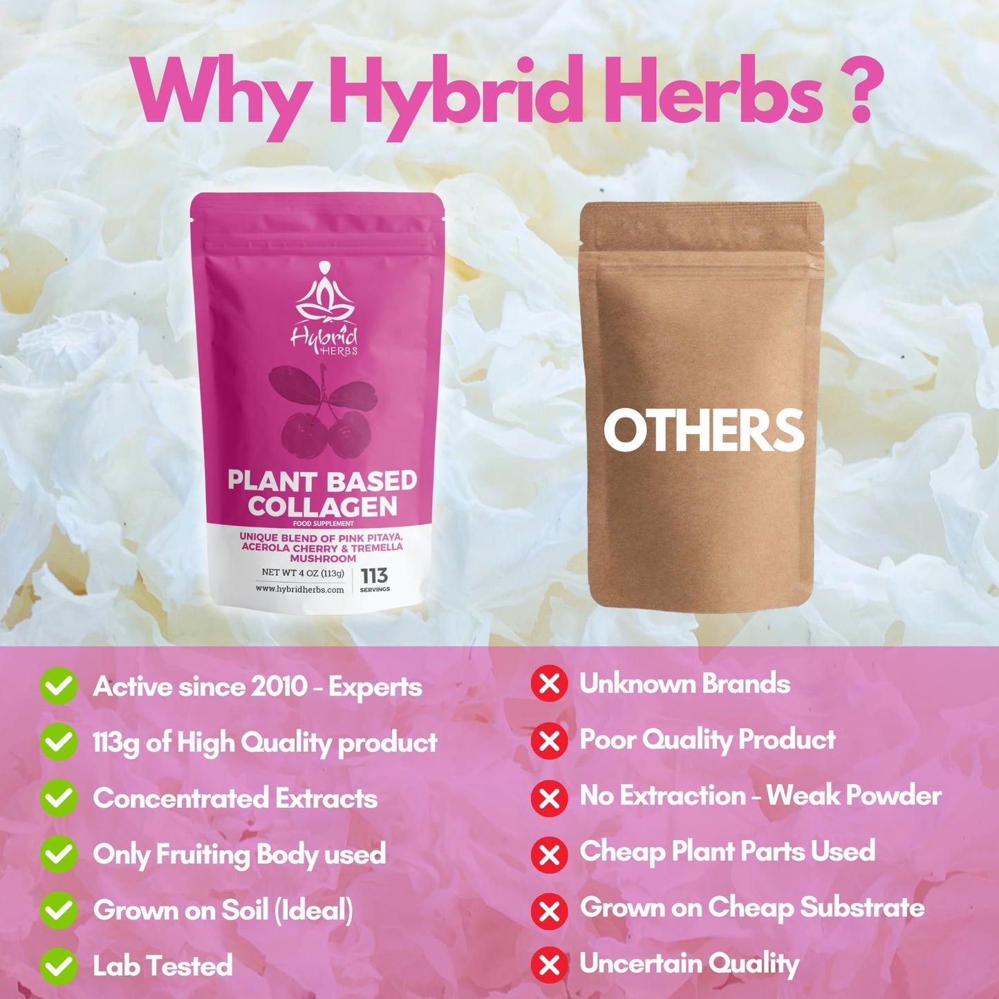 HYBRID HERBS – Plant Based Collagen Powder - Anti Aging Supplement for Skin, Wrinkles, Hair Growth with Pink Pitaya, Acerola Cherry & Tremella Mushroom Extracts | 113 Servings (113g) – Vegan Collagen