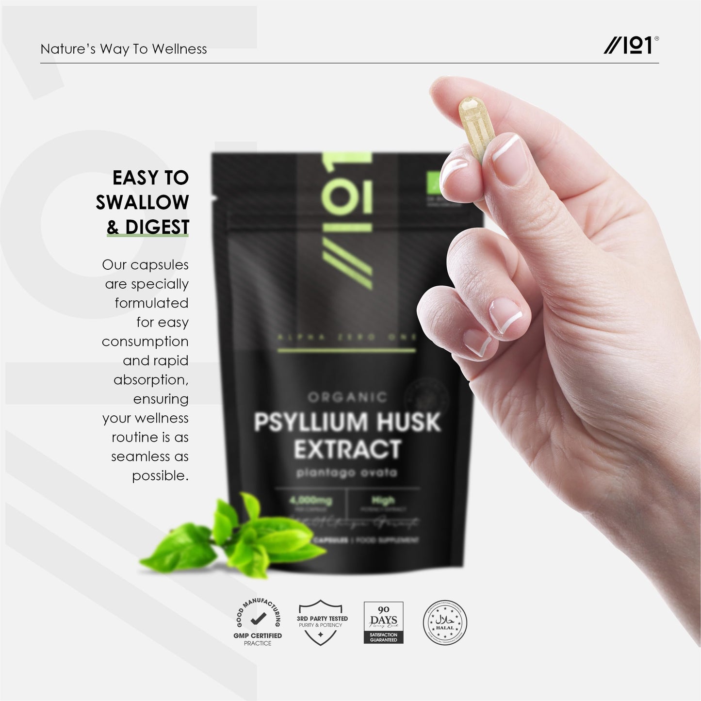 ALPHA01 Organic Fibre Supplement 4000mg Psyllium Husk - Natural Prebiotic Fibre Supplement from Raw Plantago Ovata Seeds - 90 Vegan Capsules - Resealable and Recyclable Pouch by Alpha01