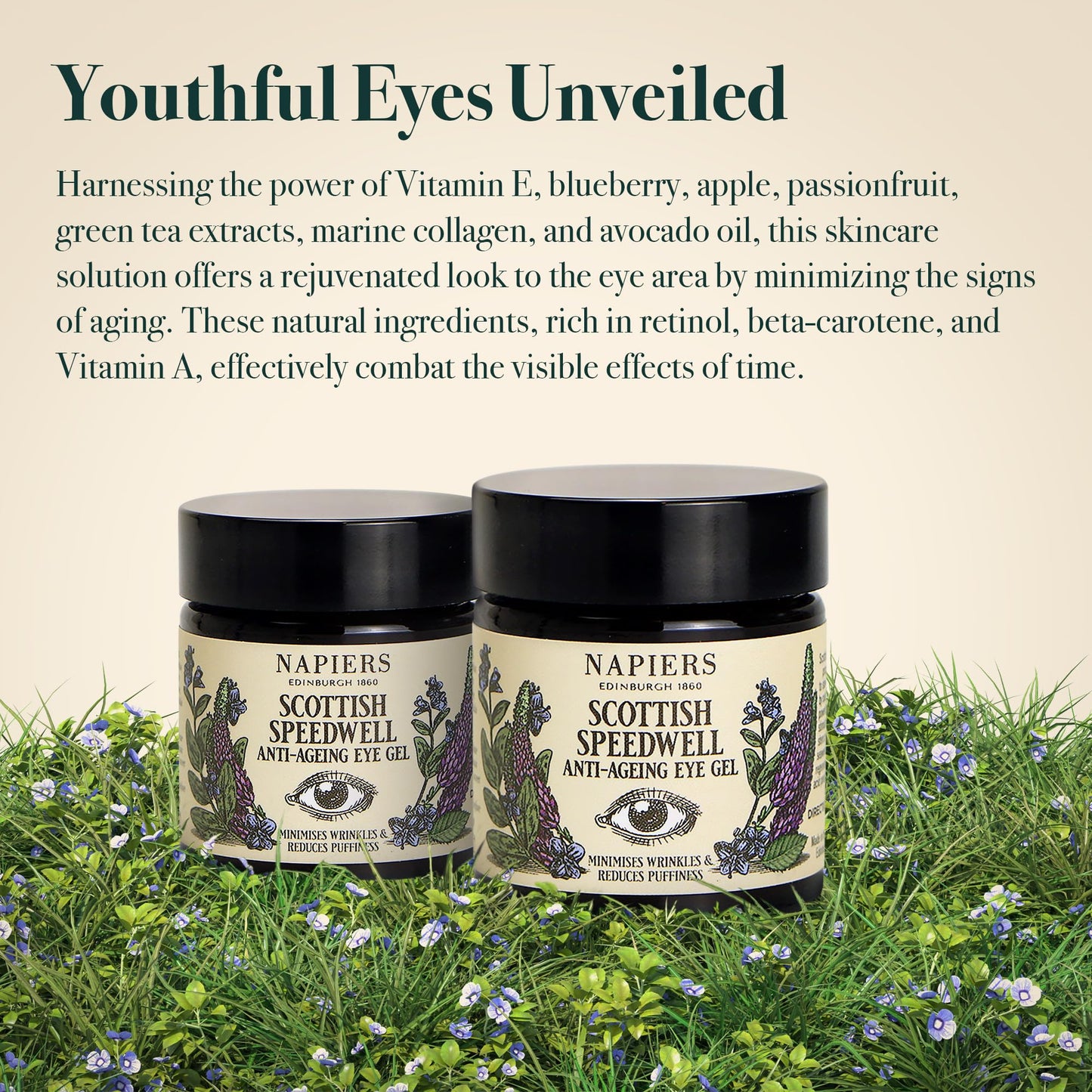 Napiers Speedwell Ageless - Anti-Aging Eye Gel - Minimises Wrinkles & Reduces Puffiness with Scottish Speedwell & Marine Collagen - 30ml