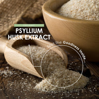 ALPHA01 Organic Psyllium Husk Extract 5000mg - Potent 10:1 Extract - Natural Prebiotic Fibre Supplement from Raw Plantago Ovata Seeds - 90 Vegan Capsules