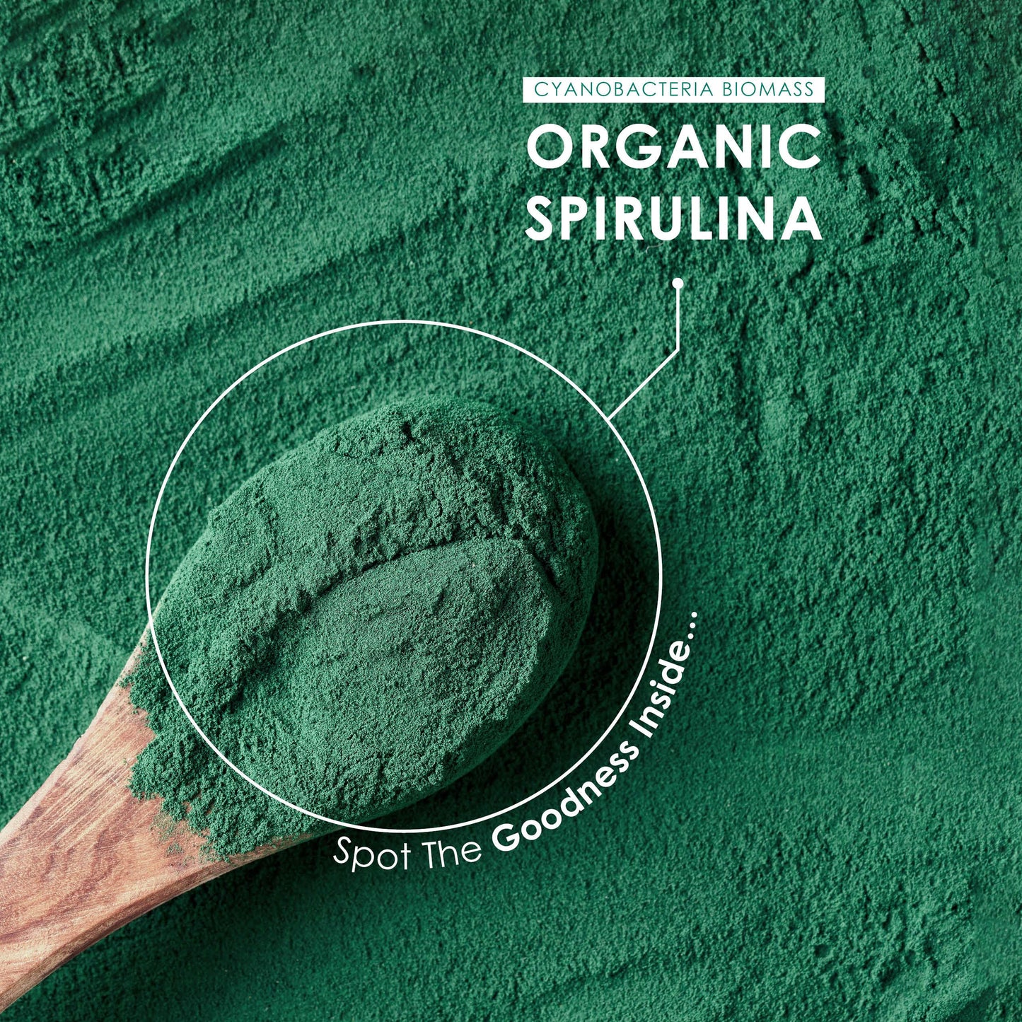 Organic Spirulina 1000mg | 300 Vegan Tablets - Pure Supplement Formula with No Additives – Certified Organic, Non GMO, Gluten Free, Halal by Alpha01