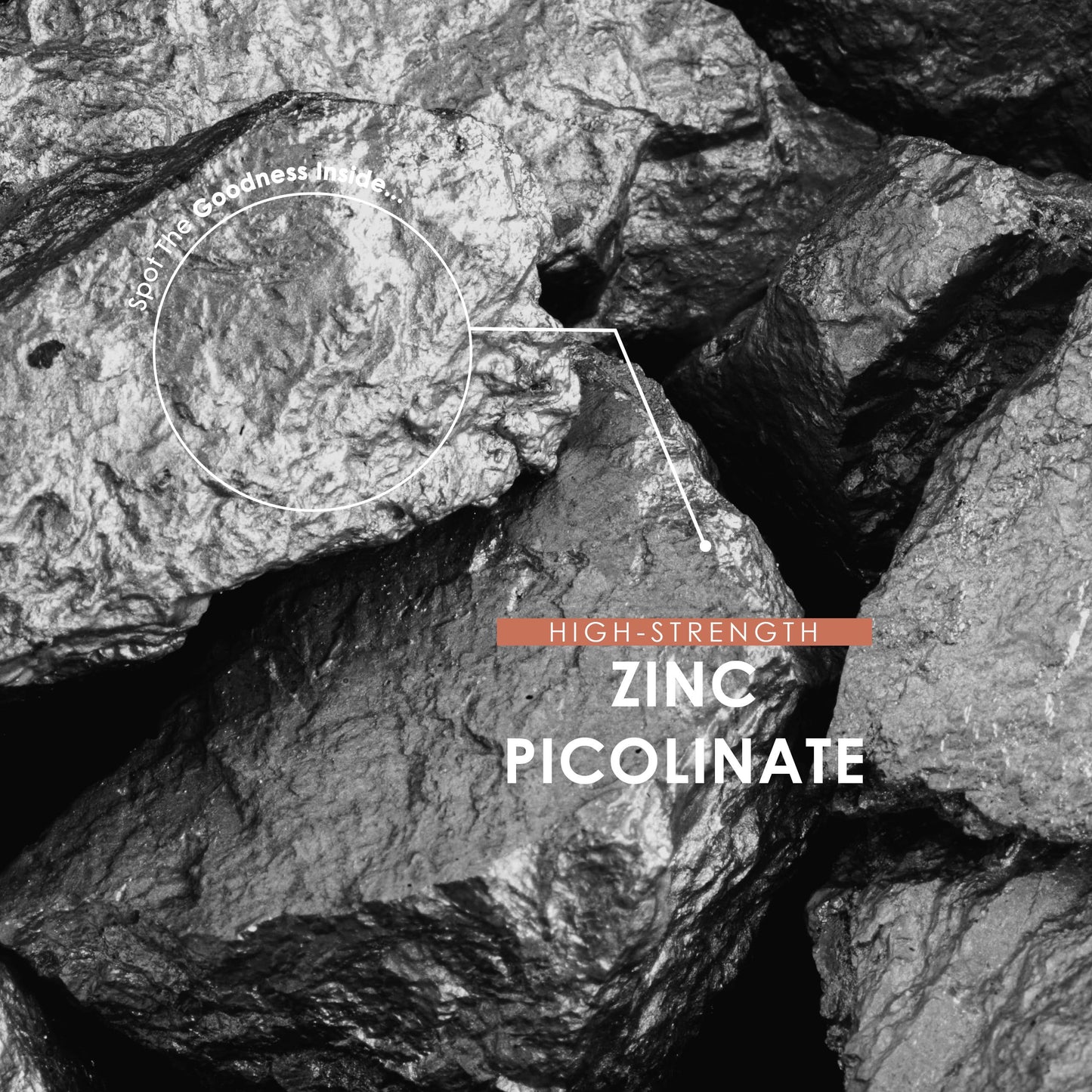Zinc Picolinate 50mg – 90 Vegan Capsules (3 Months Supply) – 500% Daily NRV - Elemental Zinc Picolinate - Resealable and Recyclable Pouch – by Alpha01
