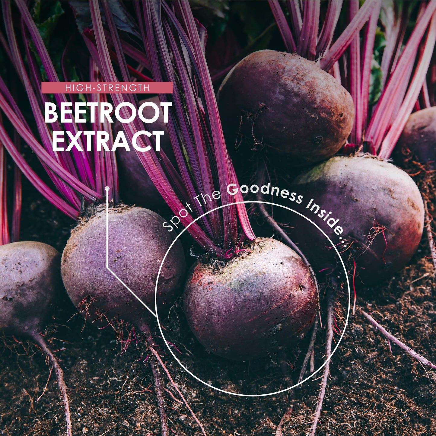 Organic Beet Root Extract 7500mg - 90 Vegan Capsules - Potent Beta Vulgaris Supplement - 3 Months Supply - Resealable and Recyclable Pouch - by Alpha01