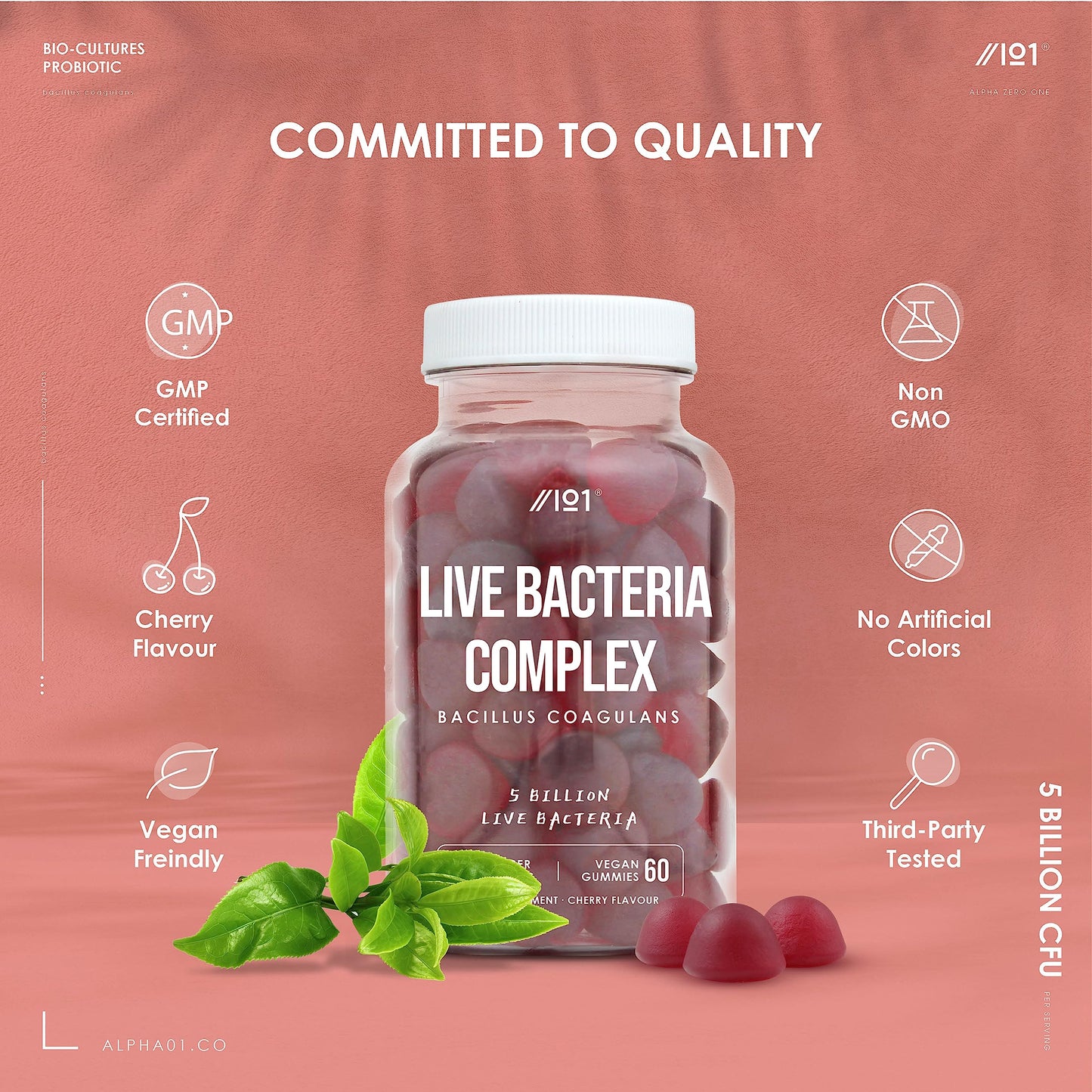 ALPHA01 Bio Complex Probiotic Cultures Gummies - 5B CFU Bacillus Coagulants Per Serving - Non-GMO, Gluten Free, Halal, Cherry Flavour - 60 Vegan Gummies. 1 Pack