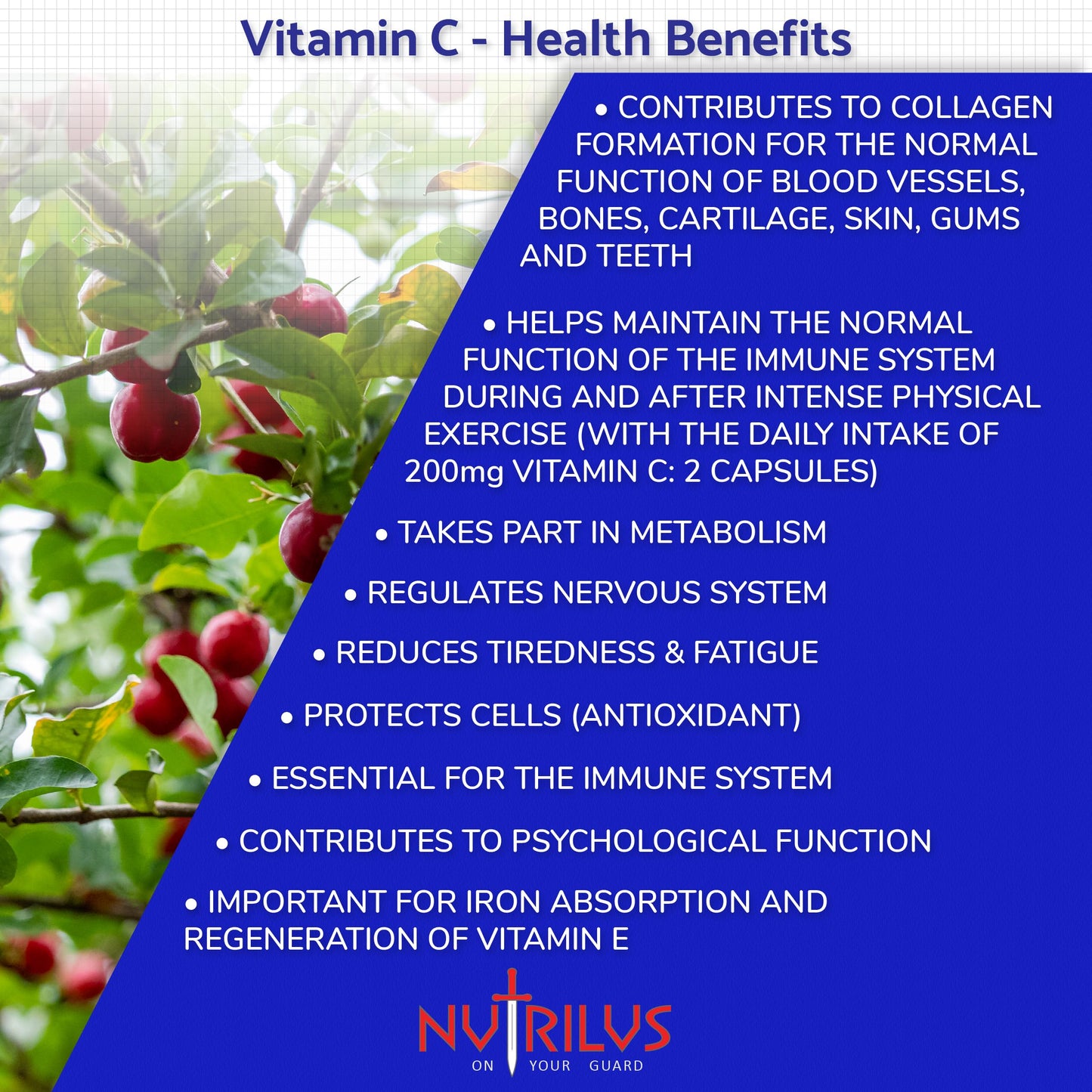 Nutrilus Natural Vitamin C Capsules from Acerola Cherry 500mg Extract - High Bioavailability Supplement - not Ascorbic Acid - Fruit and Herbs Extracts - not Tablets