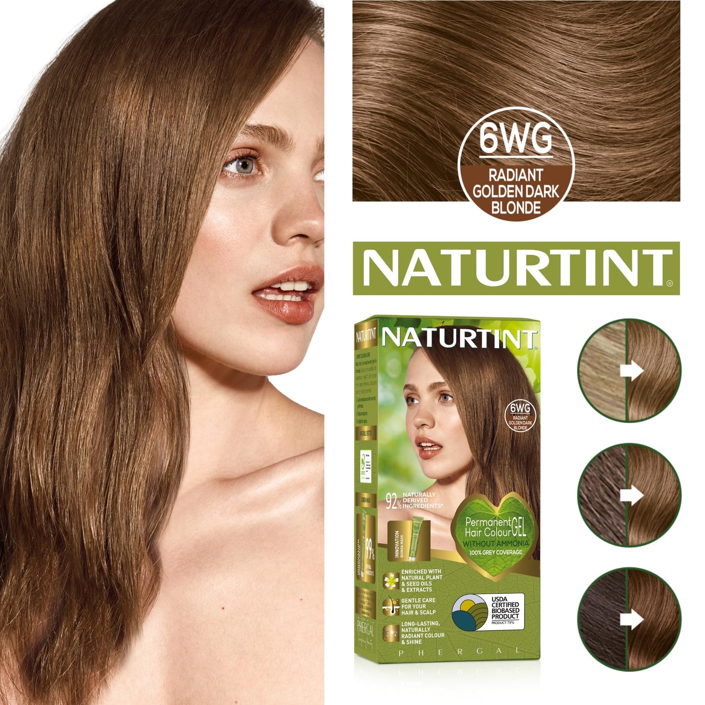 NATURTINT Naturtint Permanent Hair Colour Gel 6WG Radiant Golden Dark Blonde, Plant Enriched, Ammonia Free, Long Lasting Grey Coverage and Radiant Colour, Nourishment and Protection