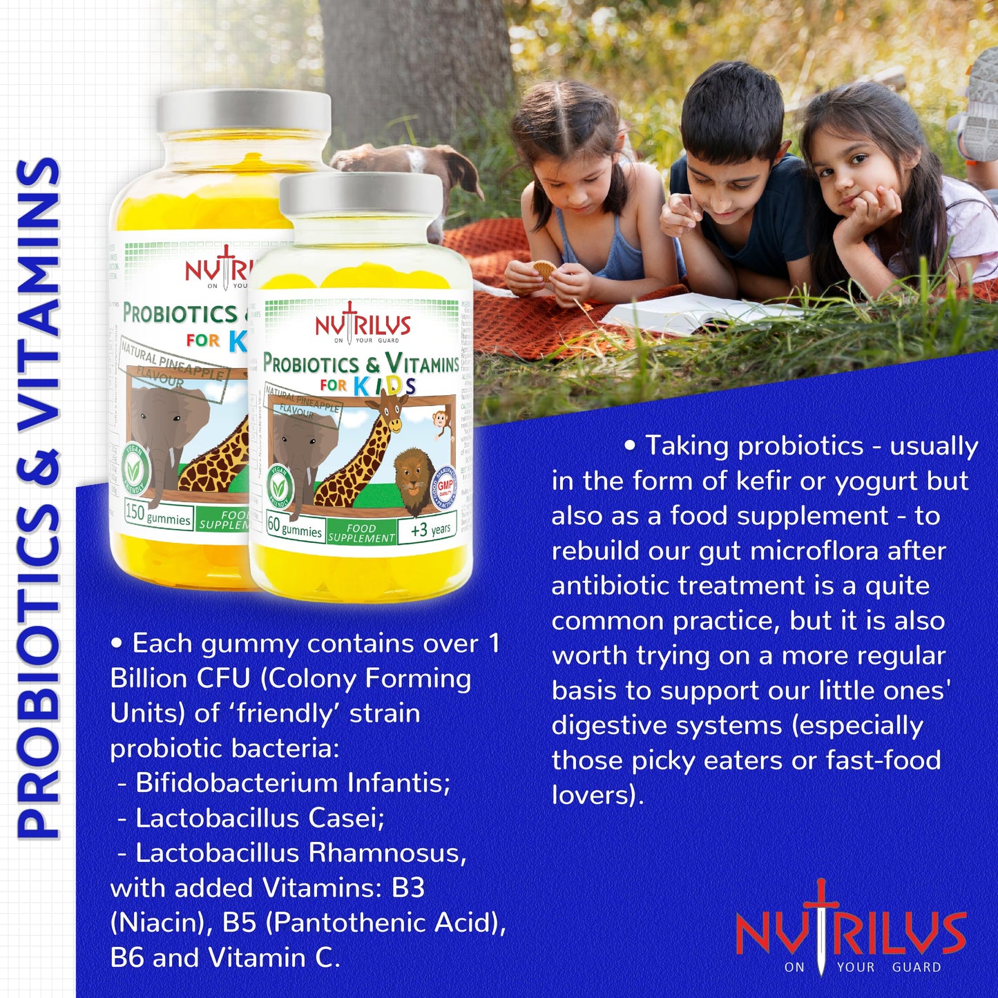 Nutrilus Probiotics & Vitamins for Kids and Adults Natural Pineapple Gummies - Large Pack - Active Blend - Vitamin B3, B5, B6, C (60 Gummies)