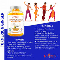 Turmeric and Ginger 120 Natural Orange Gummies - High Strength, Vegan Supplement - Large Pack - 13,500mg per Serving - 95% Curcuminoids