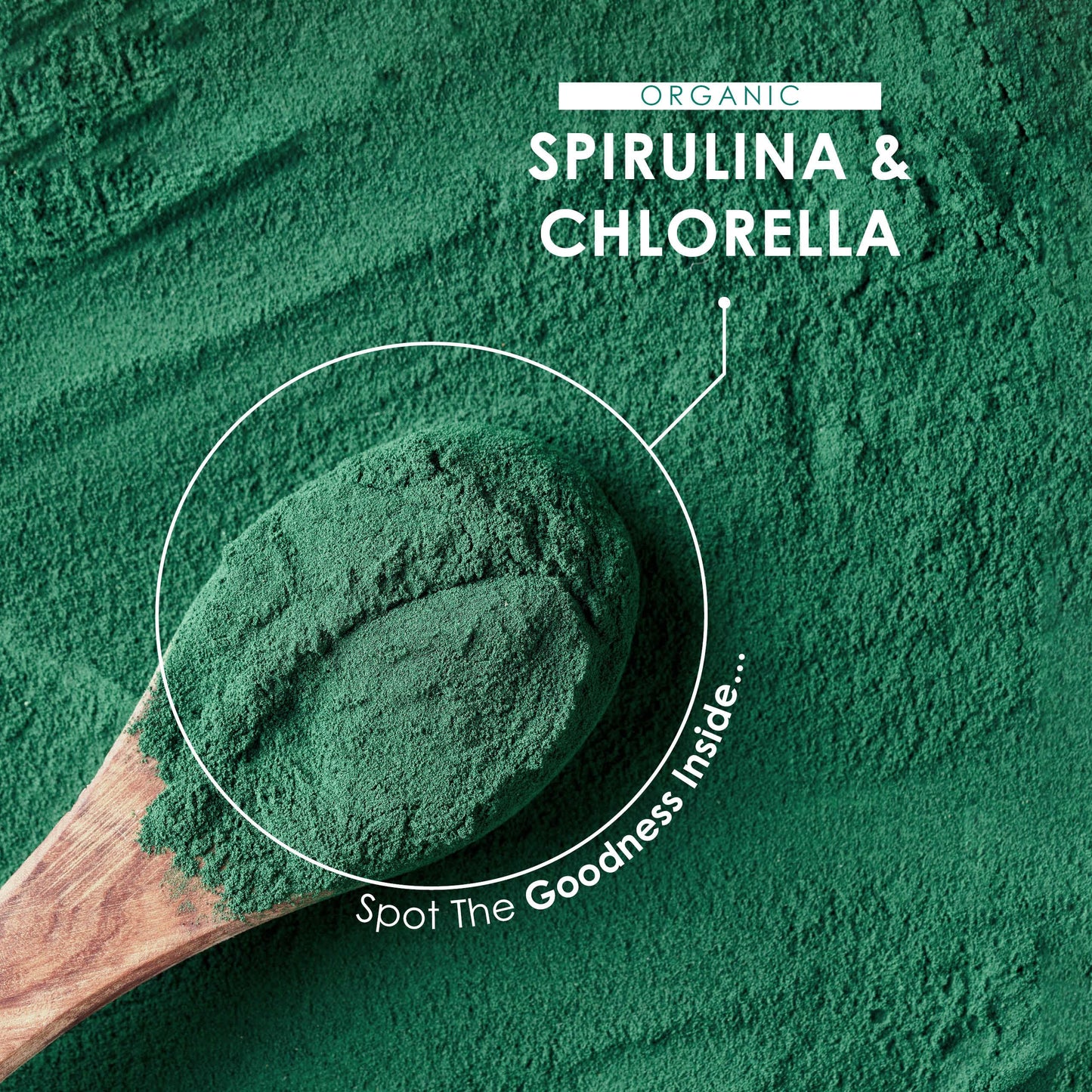 Organic Spirulina & Chlorella 2000mg - 300 Tablets - Broken Cell Wall - Pure Formula Supplement with No Additives (75 Day Supply) by Alpha01