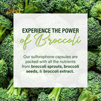 VED Ved Broccoli Sulforaphane, Broccoli Powder Rich in Vitamins and Minerals, 550 mg 90 Capsules (45 Days supplys)