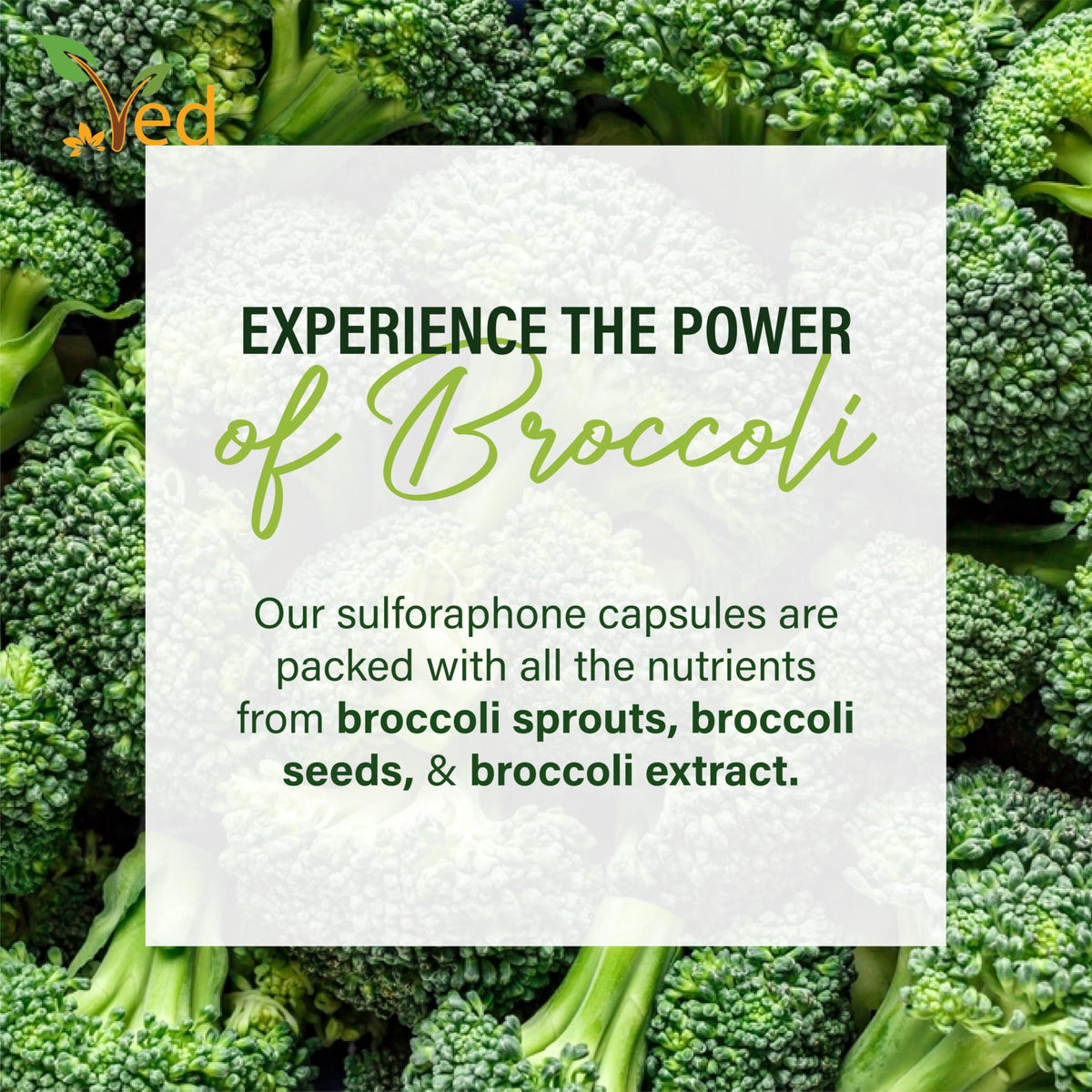 Ved Broccoli Sulforaphane, Broccoli Powder Rich in Vitamins and Minerals, 550 mg 90 Vegan Capsules (45 Days supplys)