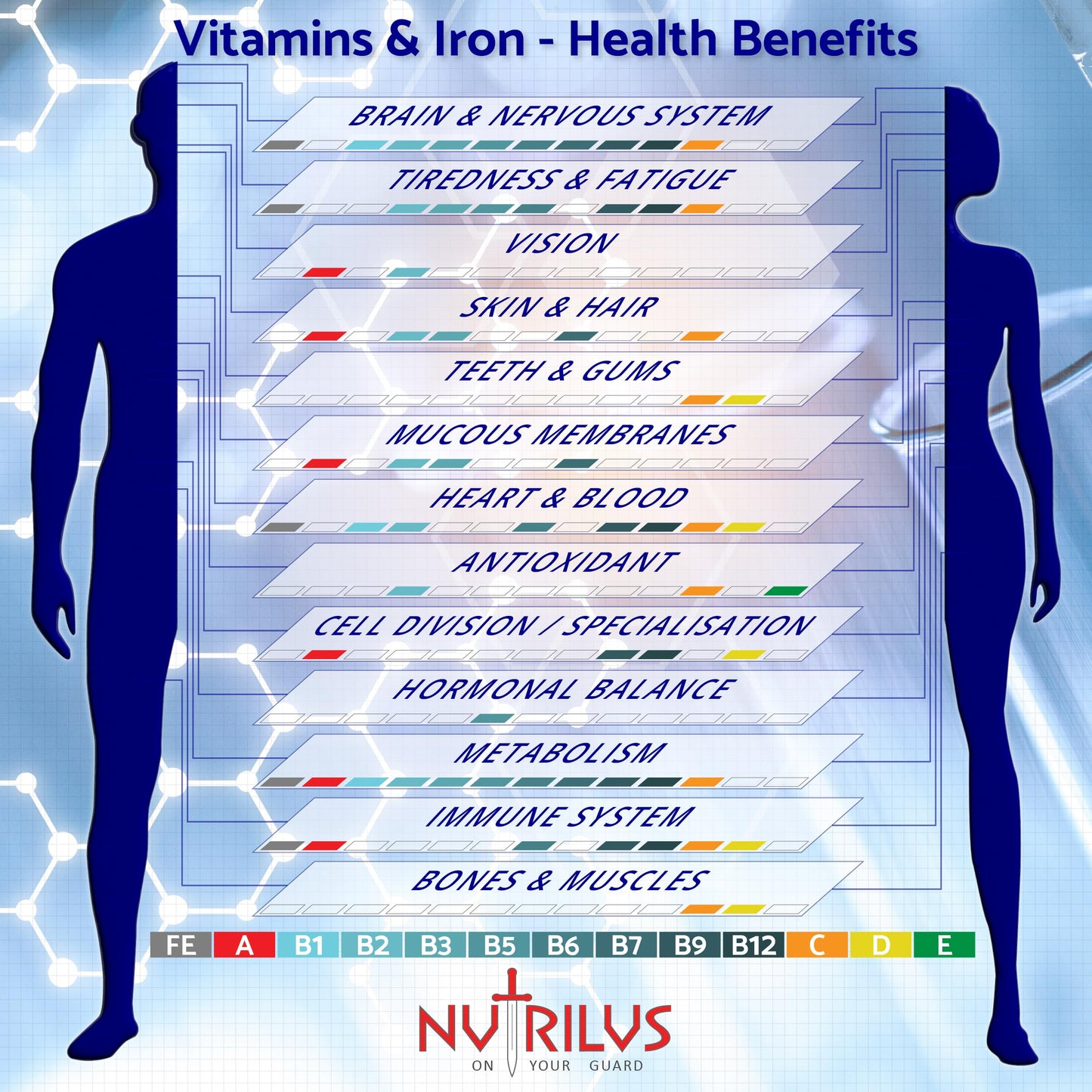 Nutrilus Multivitamin with Iron 180 Daily Tablets - High Strength Supplement - Vitamins A B C D E & Iron - Immune, Energy, Nervous System