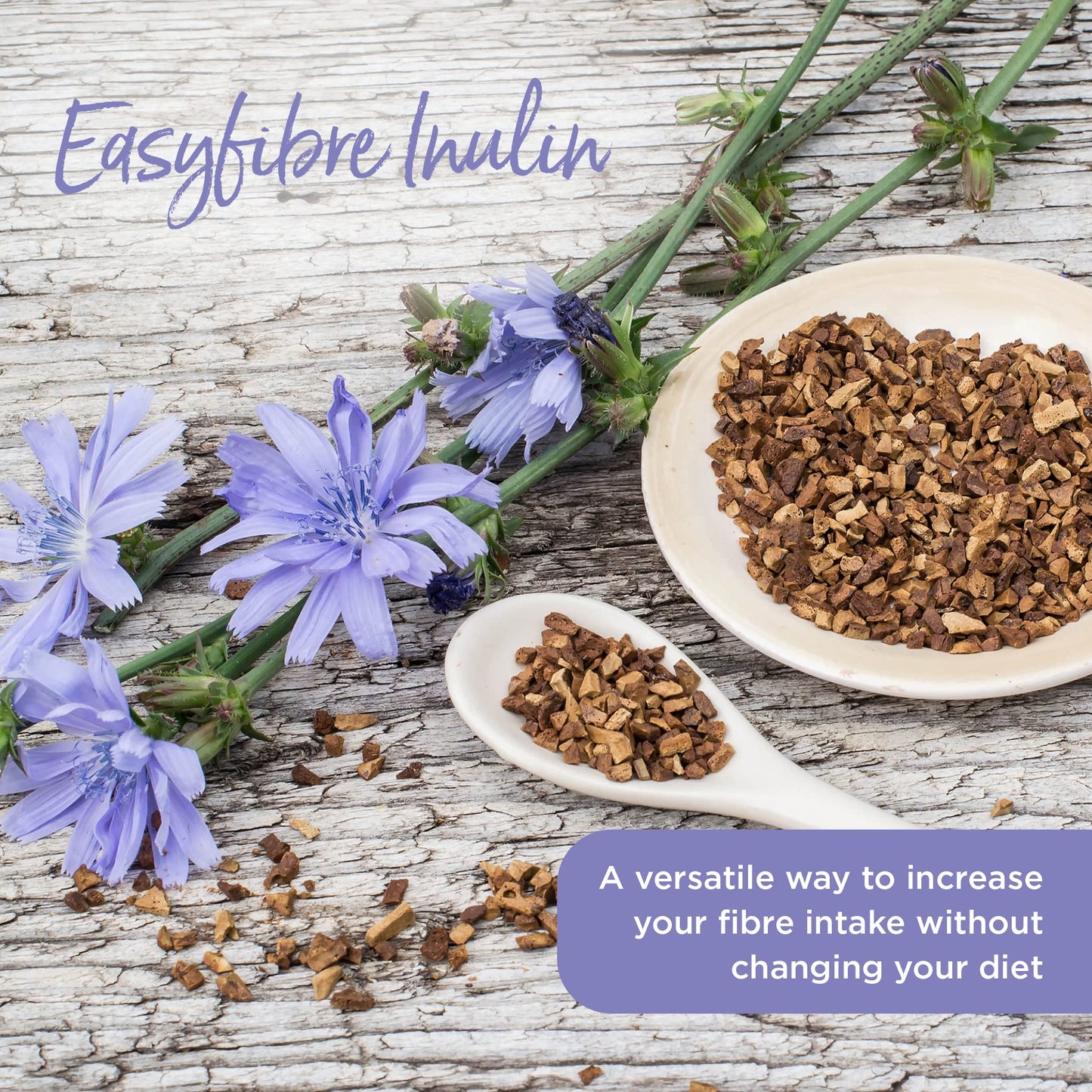 Healthspan Easyfibre Inulin (450g) | A Natural Way to Keep Your Digestive System Functioning Healthily | Increase Fibre Intake | Made from 100% Chicory Root | Vegan