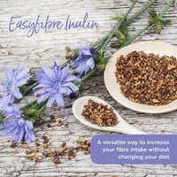 Healthspan Easyfibre Inulin (450g) | A Natural Way to Keep Your Digestive System Functioning Healthily | Increase Fibre Intake | Made from 100% Chicory Root | Vegan