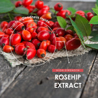 Rosehip Extract 10,000mg - High Strength 20:1 Extract Rosa Canina Supplement – 90 Vegan Capsules (3 Months Supply) – Resealable and Recyclable Pouch by Alpha01