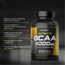 BCAA Tablet | 4000mg BCAAs per Serving | 365 Vegan Tablets | Essential Amino Acid Supplement with Vitamin B6 | by Horbaach