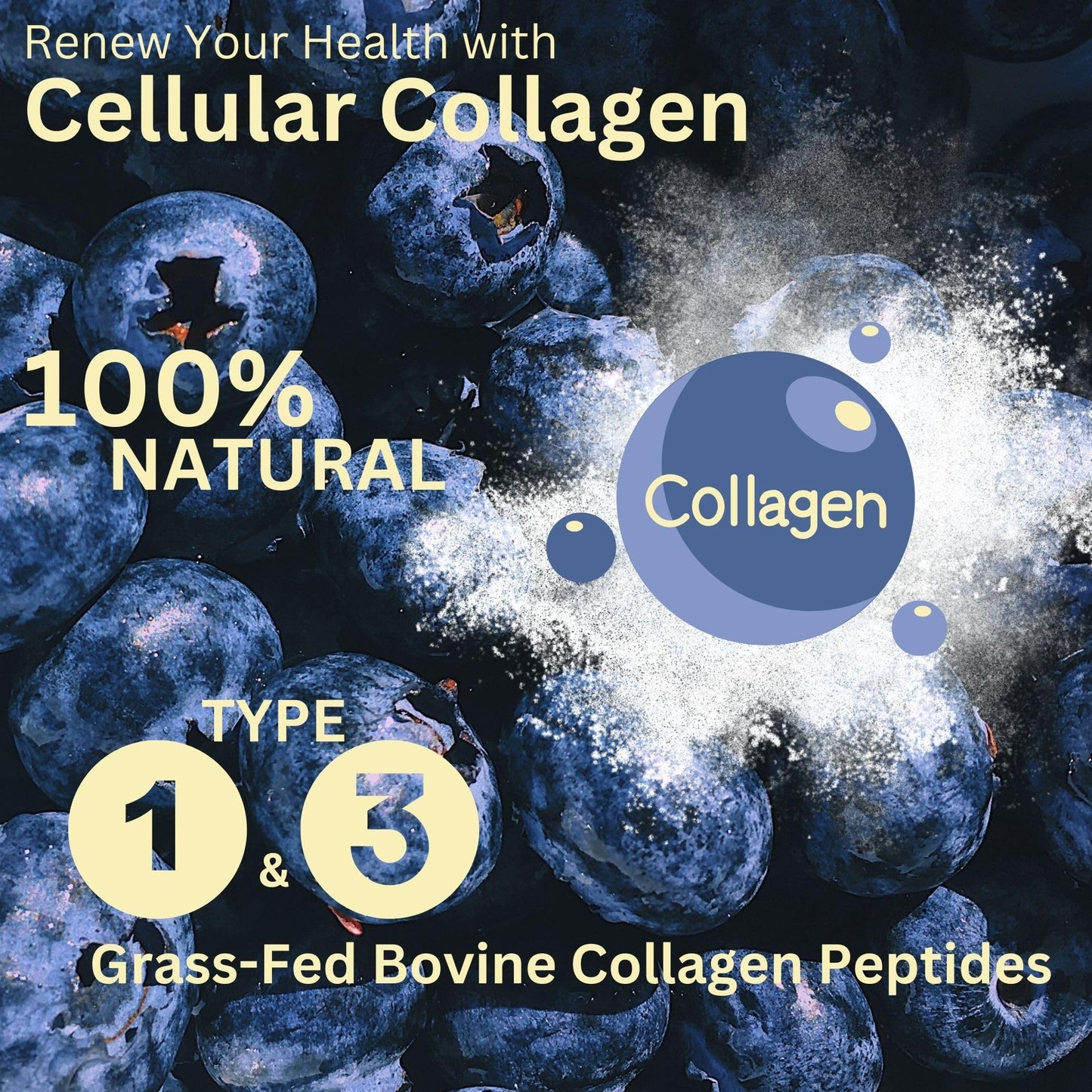 restora:cell Blueberry Cellular Collagen Powder Supplement 100% Natural Grass-fed Bovine Collagen Peptides with Vitamin C - 200 mg CoQ-10-20 Billion CFU Probiotic Blend - Paleo & Keto - 250g