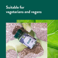 Holland & Barrett Zinc 15mg - Supports The Immune System - 120 Tablets