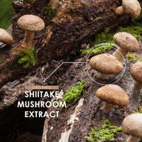 ALPHA01 Organic Shitake Extract 7500mg – High Strength 50% Polysaccharides Mushroom Supplement – 90 Vegan Capsules (3 Months Supply) – by Alpha01
