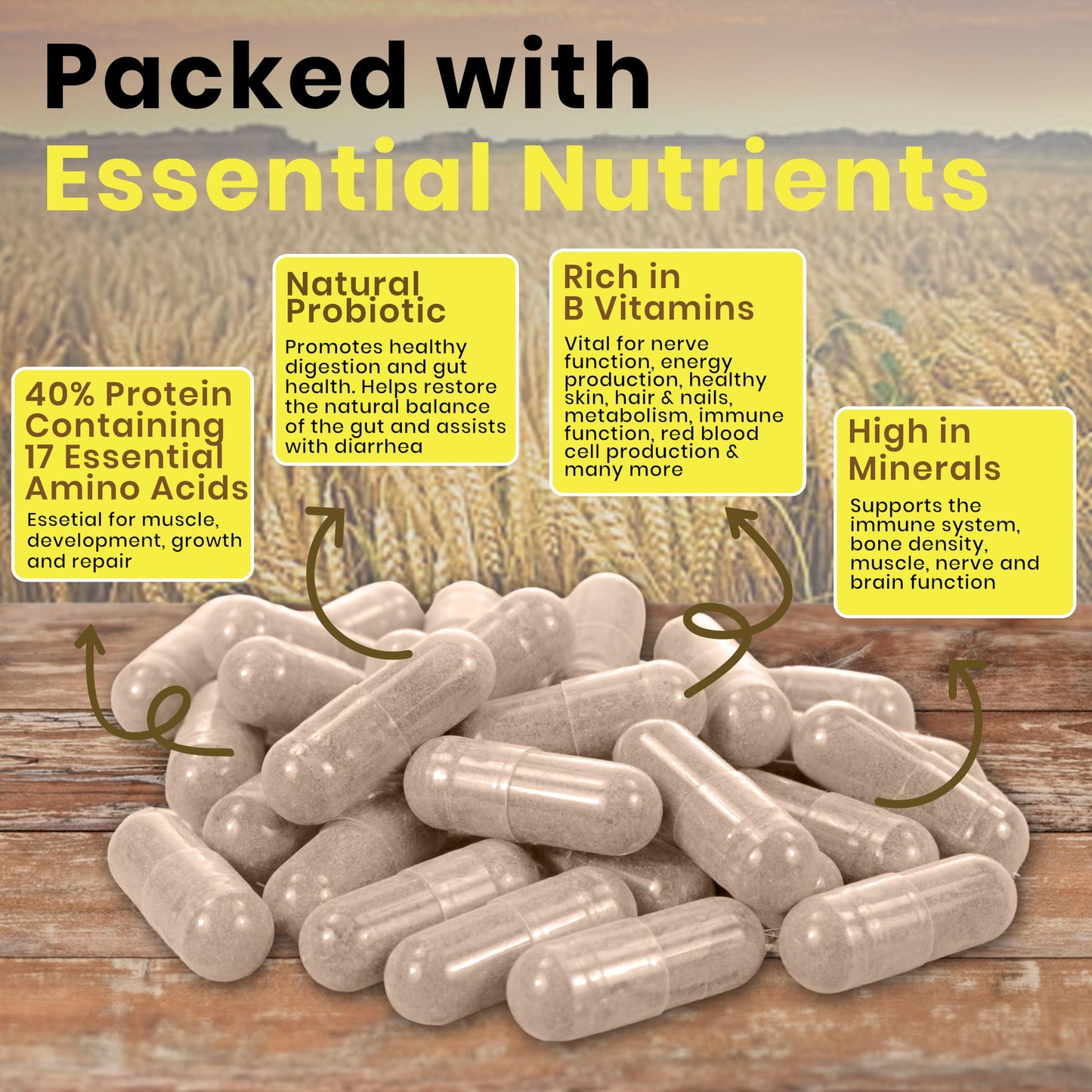 FoodPURA 365 x 600mg Brewers Yeast Capsules 100% Pure & Natural Not Debittered HACCP Certified Manufactured in The UK (365)