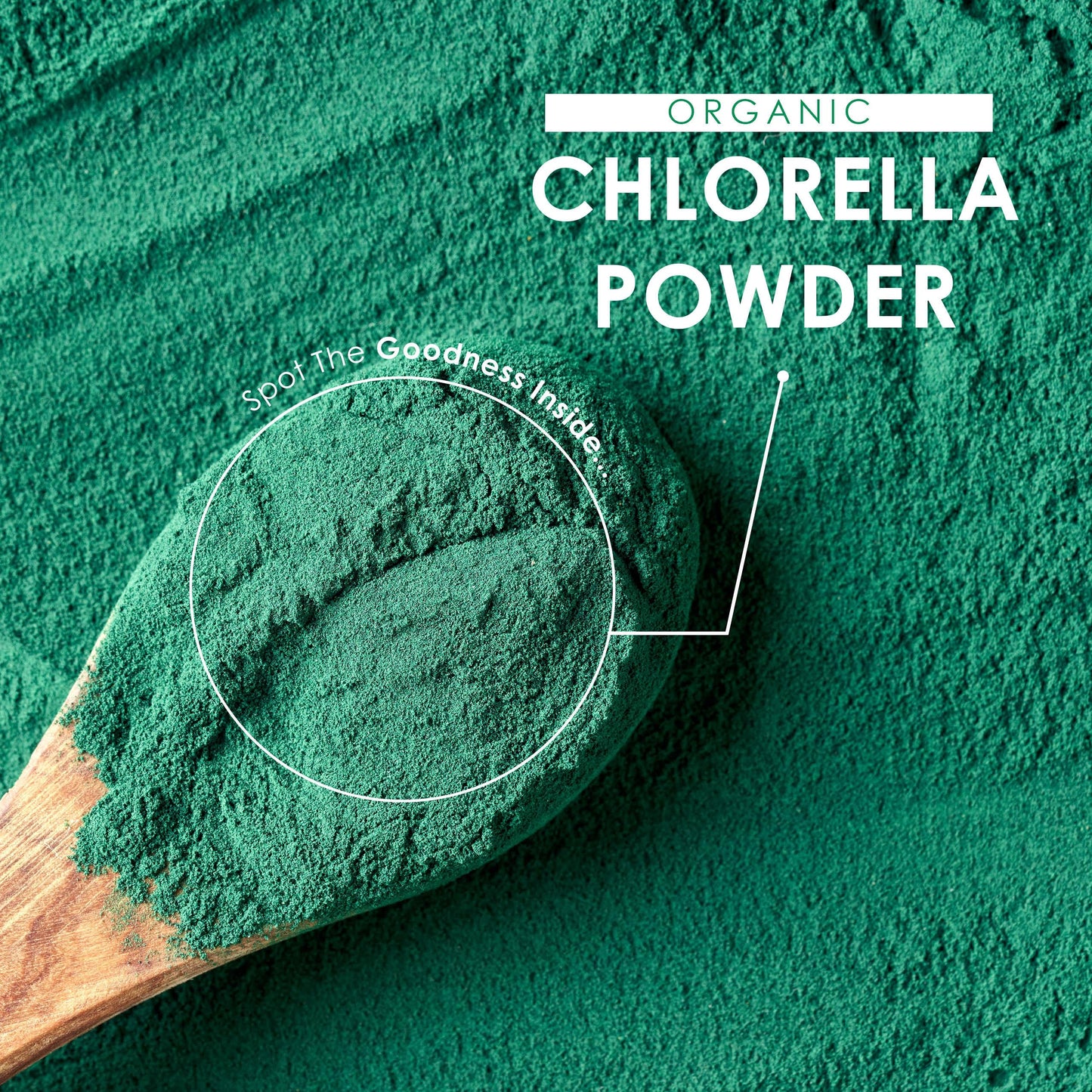 ALPHA01 Organic Chlorella Powder 200g - Broken Cell Wall - Pure Formula Supplement with No Additives – Resealable and Recyclable Pouch – by Alpha01