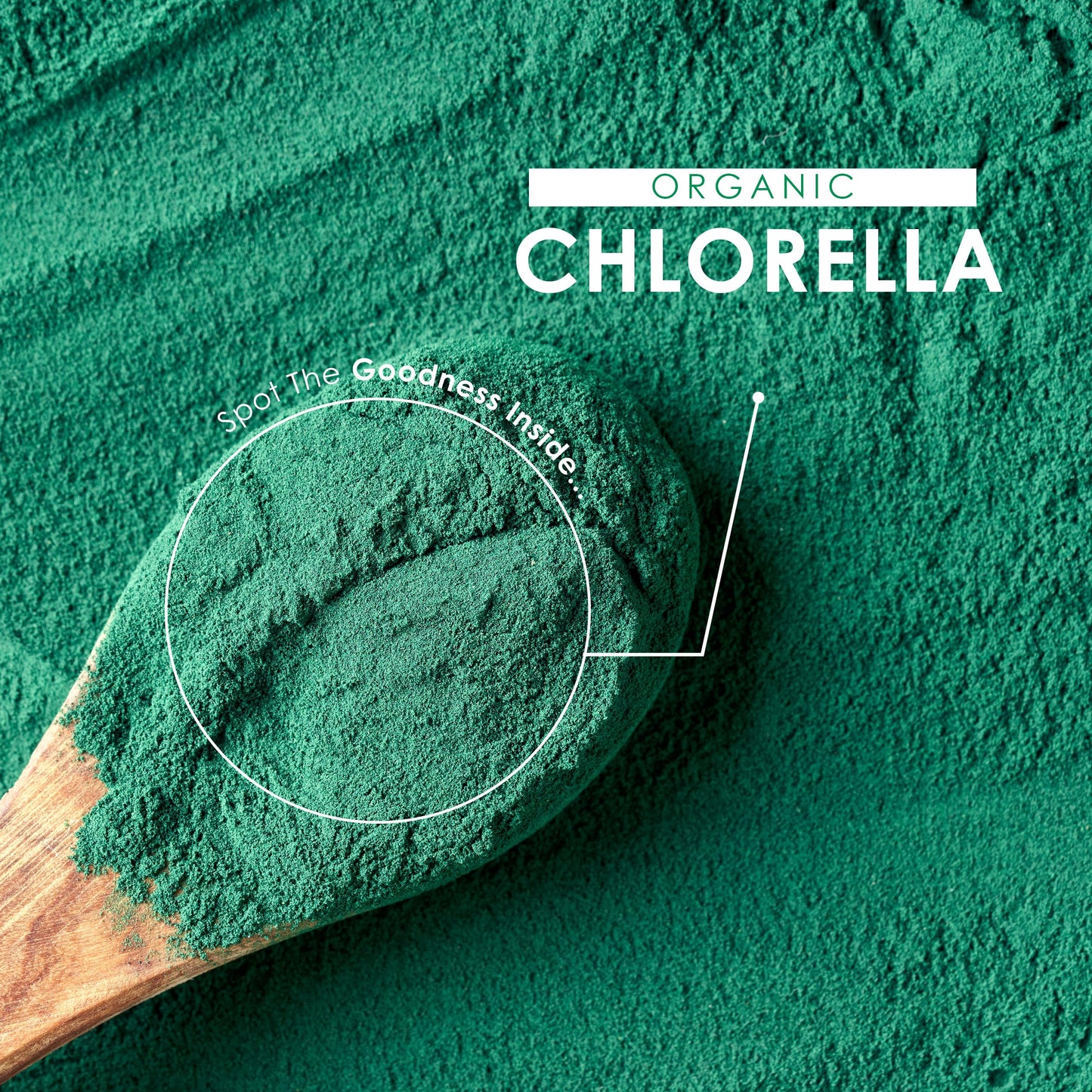 ALPHA01 Organic Chlorella 2000mg – 300 Vegan Tablets – Broken Cell Wall – Pure Formula Supplement with no Additives – Resealable and Recyclable Pouch – by Alpha01