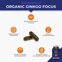 Memory Complex & Concentration - with Patented Cognivia Extract - Boosts Cerebral Performance - Ginkgo Biloba & Sage - Organic Focus - 90 Vegan Capsules - Nutrimea - Made in France