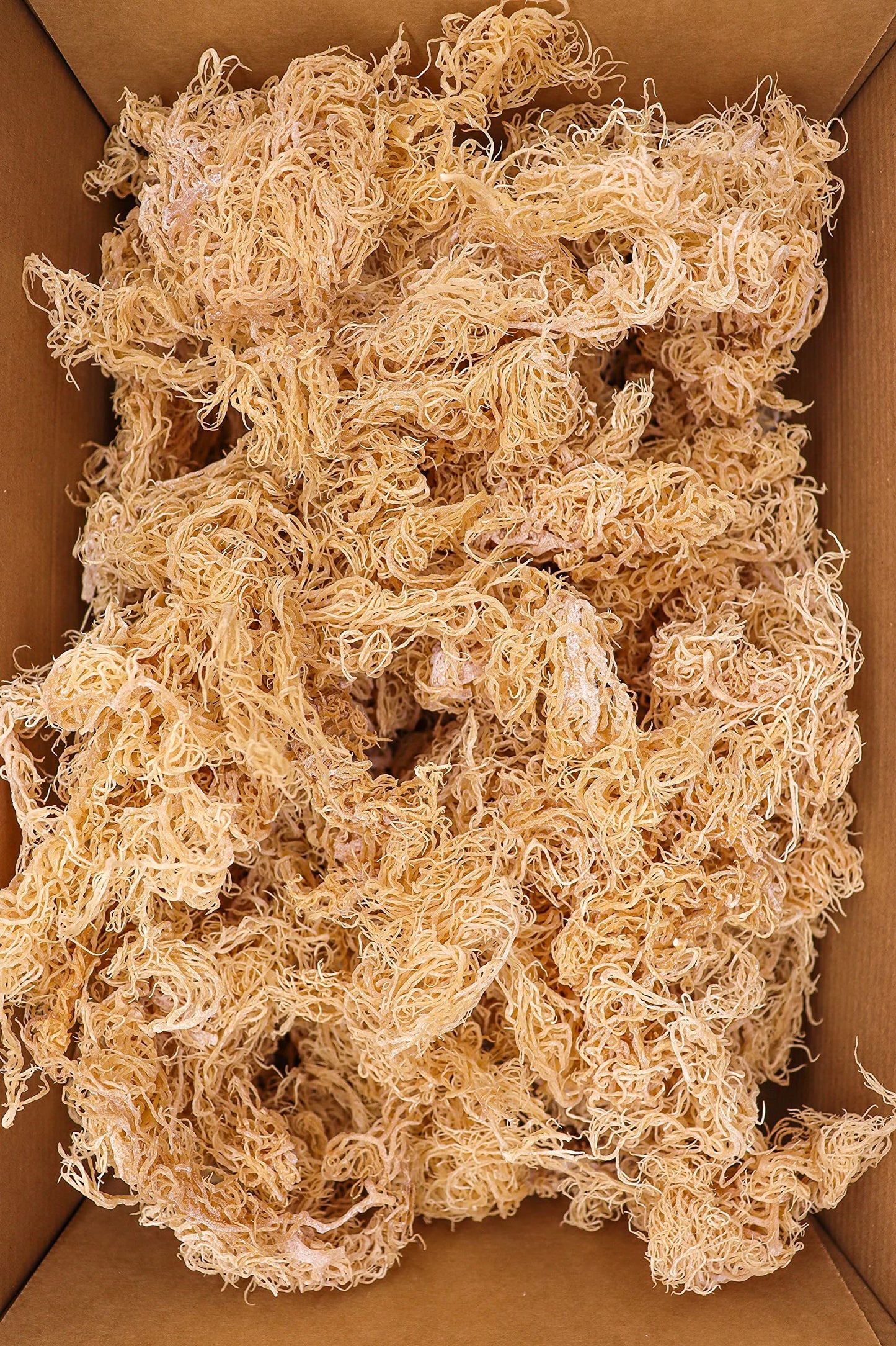 Sea Moss Capsules (St. Lucia - 60 caps) Organic | Wild Crafted | Non GMO | 92 Minerals - Containing Essential Vitamins and Minerals