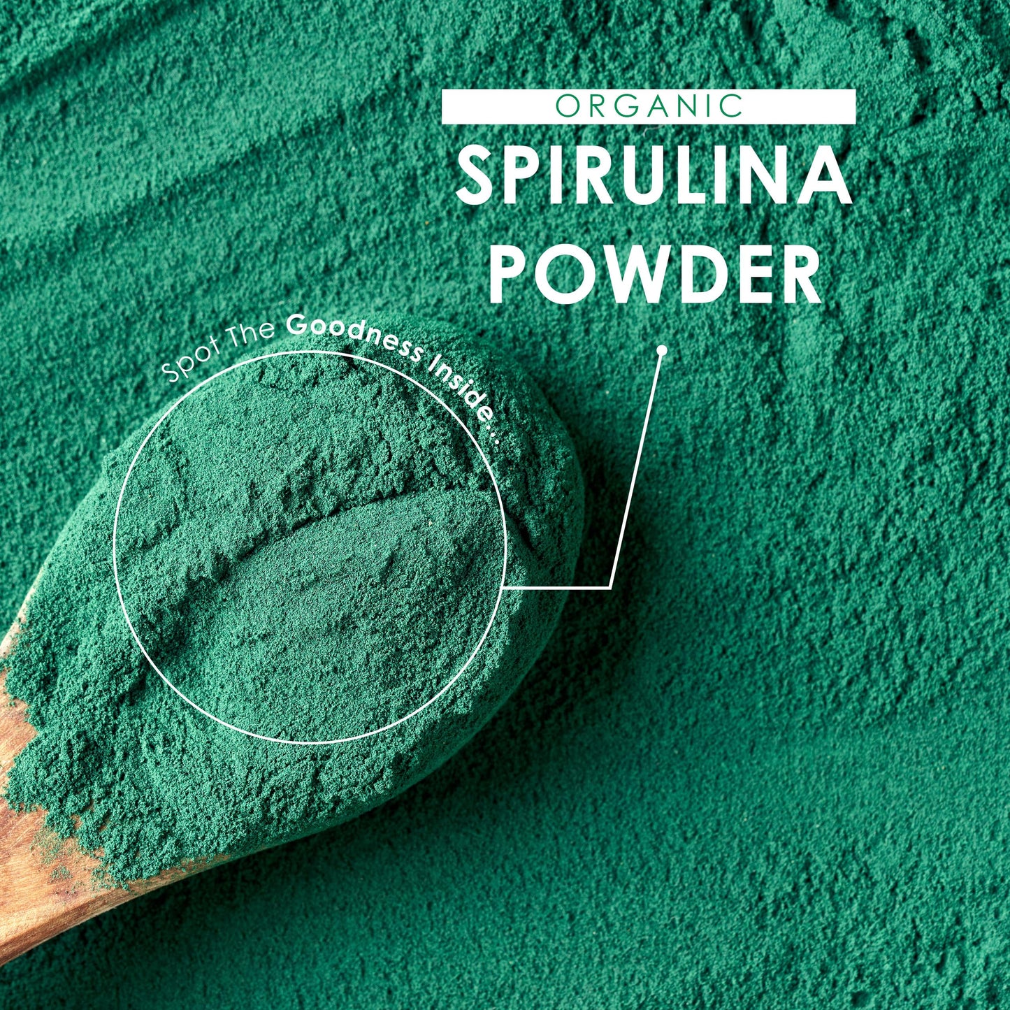 Organic Spirulina Powder 100g – 100% Cold Pressed – Resealable and Recyclable Pouch – by Alpha01