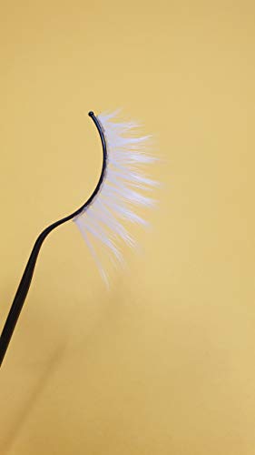 Eldora False Eyelashes NEW B801