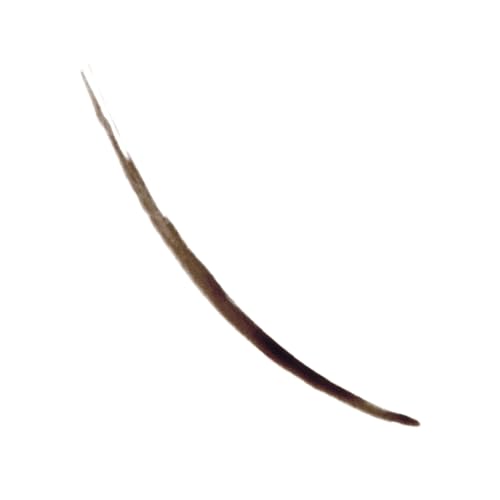 Revlon ColorStay Semi-Permanent Brow Ink - Dark Brown