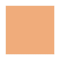 MAC Studio Fix Powder Plus Foundation, NW43