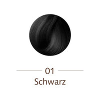 Sanotint - 4% PPD, no ammonia, Black hair dye 01