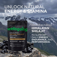 Himalayan Shilajit Gummies – 75% Fulvic Acid, Energy & Vitality Support with Ashwagandha – Daily Wellness Supplement – 60 Gummies
