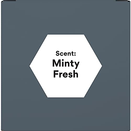 Beauty and the Bees Voodoo Activated Charcoal & Honey Shampoo Bar - MINTY FRESH - with Organic Leatherwood Honey 100% Natural