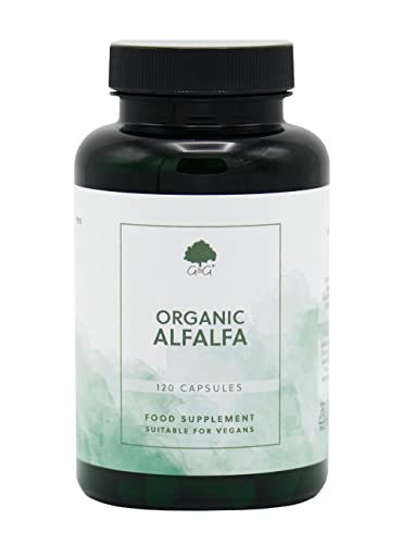 Organic Alfalfa Capsules | 500mg of Alfalfa per Capsule | 120 Vegan Capsules | Botanical Rich in Vitamins, Minerals and Other Nutrients | G&G Vitamins