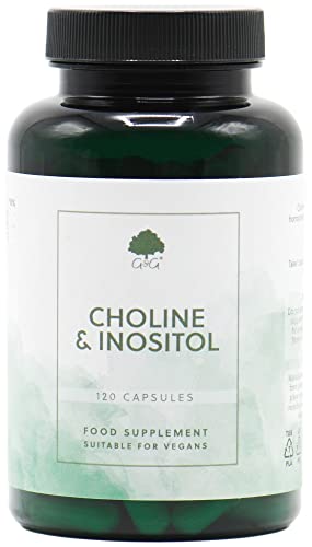 Choline (Bitartrate) & Inositol Capsules | 250mg Choline & 250mg Inositol per Capsule | 120 Vegan Capsules | G&G Vitamins