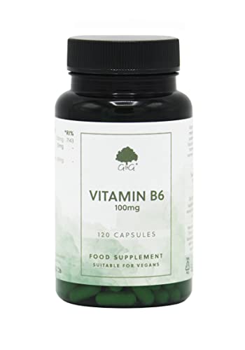 Vitamin B6 Pyridoxine HCl Capsules | 100mg Vitamin B6 per Capsule | 120 Vegan Capsules | G&G Vitamins