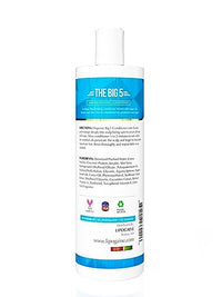 Lipogaine The Big 5 Hair Loss Prevention Conditioner With Argan Oil, Keratin, Aloe Vera