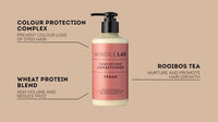 WINDLE Fortifying Conditioner by Windle LAB - With Rooibos Tea & Wheat Protein - Sulphate Free Conditioner For Fine Hair, Thinning & Colour Treated Hair - 250ml